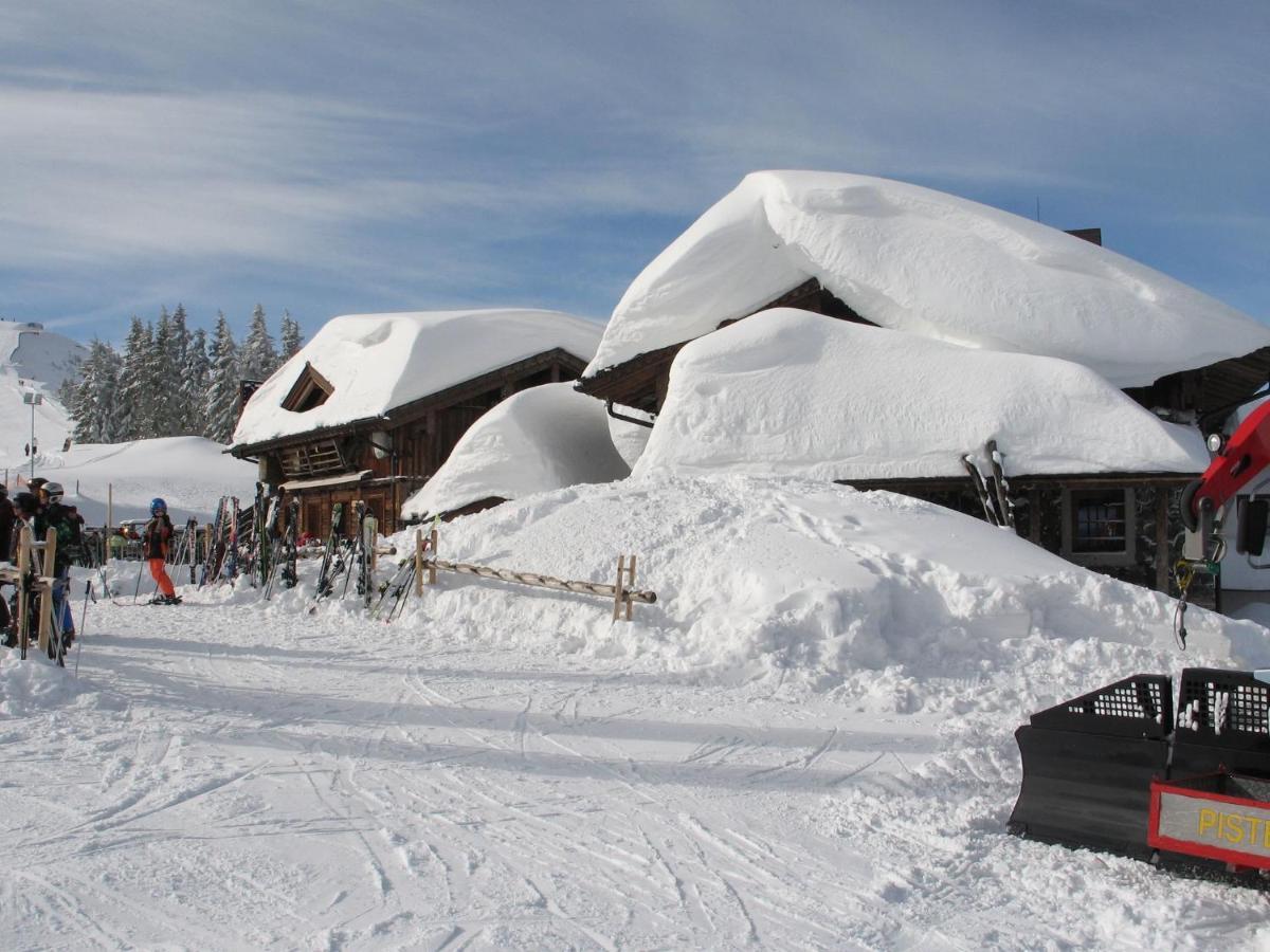 Apartment In Salzburgerland Near The Ski Area Viehhofen Ngoại thất bức ảnh