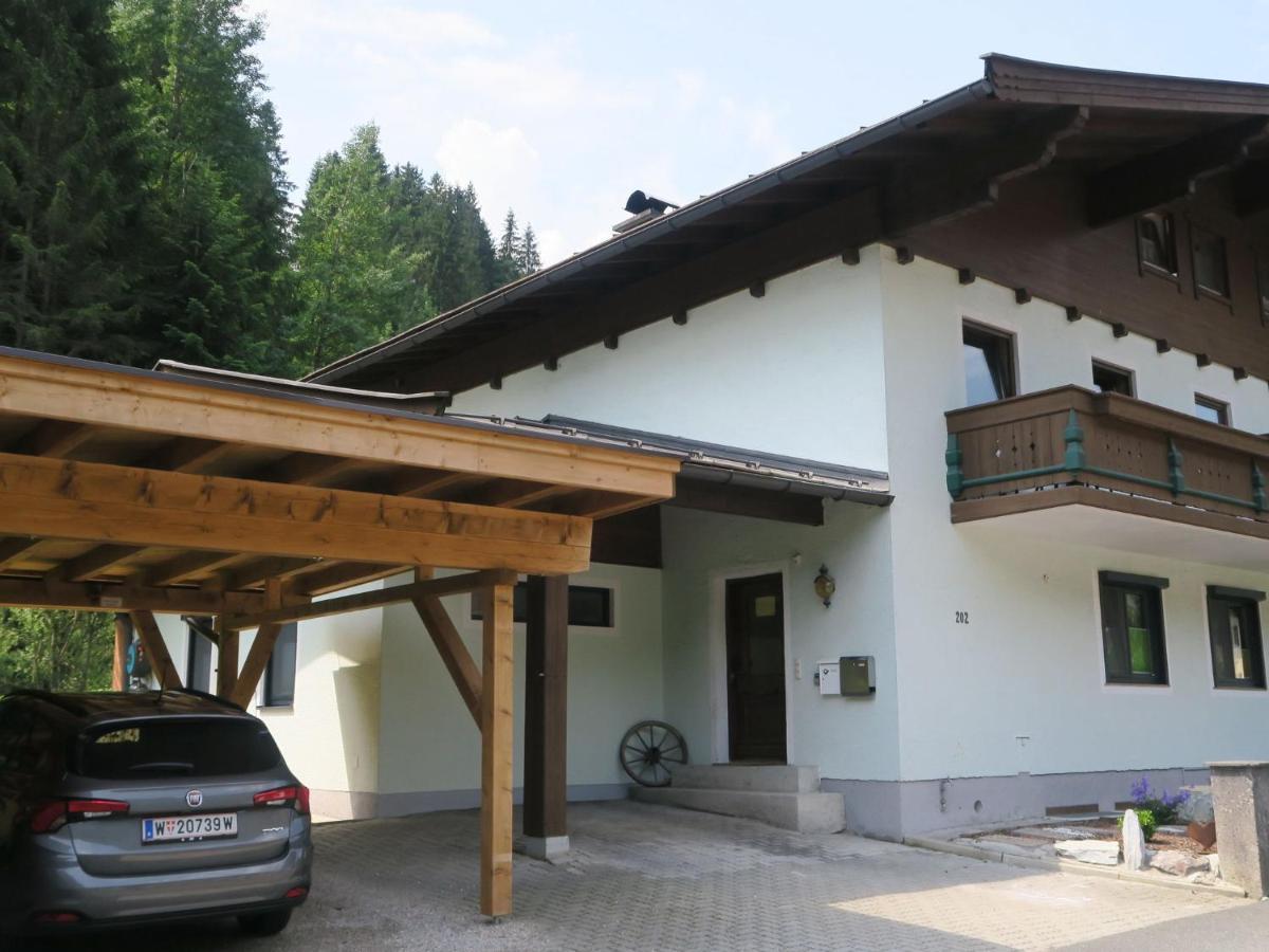 Apartment In Salzburgerland Near The Ski Area Viehhofen Ngoại thất bức ảnh